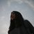 Noa Paperno's profile image