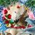 Martina Little-Boy's profile image