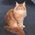 Michele Wilson Brothers's profile image