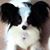 Liane Gentry Skye's profile image