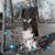 Terri Landenberger Coakley's profile image