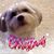 Bobbi Young Kingery's profile image