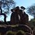 Sloane Caskey Beadle's profile image