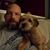 Denny Frantz's profile image