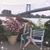 Elaine Fitzmaurice's profile image