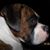 Greg Wickline's profile image