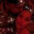 Amanda Todaro's profile image
