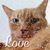 Mistie Coovert's profile image