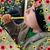 Rosemary Perez's profile image