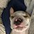 Mary N Jerry Bohanon's profile image