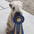 Michelle O'Neill's profile image