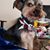Lisa Gray's profile image