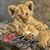 Sherry Boland Green's profile image