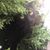 Kathy Culat Grasty's profile image
