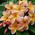 Christie Garcia Ingwersen's profile image