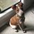 Jennifer Stalcup's profile image