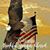 Sandy Winstryg Johnson's profile image