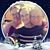 Wanda Lamphier's profile image