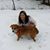 Michele Ishikawa Dingo's profile image