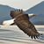 Bill Folts's profile image