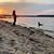 Sara Thomson-Phipps's profile image
