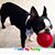 Lindi Judd's profile image