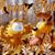 Lisa Sweeney Spicer's profile image
