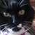 Randi Rarick's profile image