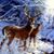 Steve Zalla's profile image