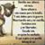 Fortaleza Divina's profile image