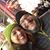 Jacqueline Mengler Noteboom's profile image