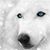 Glenn Hultgren's profile image