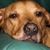 Maximus Tucker's profile image