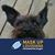 Kathleen Trygg Chiles's profile image