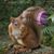 Gloria Clardy's profile image