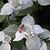 Debbie Burd's profile image