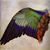 Siobhan Holland's profile image