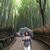 Maly Tung's profile image