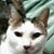 Barbara Turner's profile image