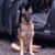 Jeanne Seaman's profile image