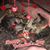 JoAnn Benoit's profile image