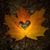 Cheryl Winters Kearchner's profile image
