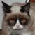 Todd Warren's profile image