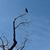 John Allan Studholme's profile image