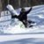 Jacques Bernier's profile image