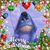 Robin Lynn Hohl's profile image