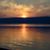 Lori Propp's profile image