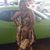 Linda Kaye Jones's profile image