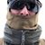 Aaron Willhoite's profile image