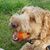 Kristi Brown's profile image